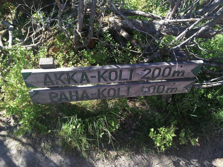 fin_35-768x576-1 Finlandia