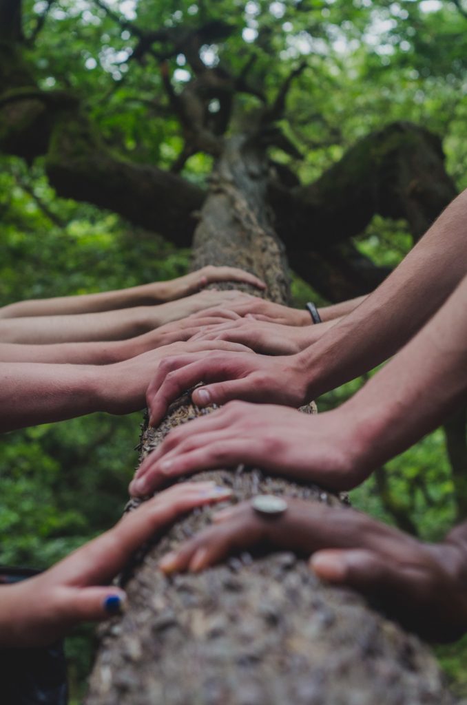 shane-rounce-DNkoNXQti3c-unsplash-678x1024-1 Servicios y actividades