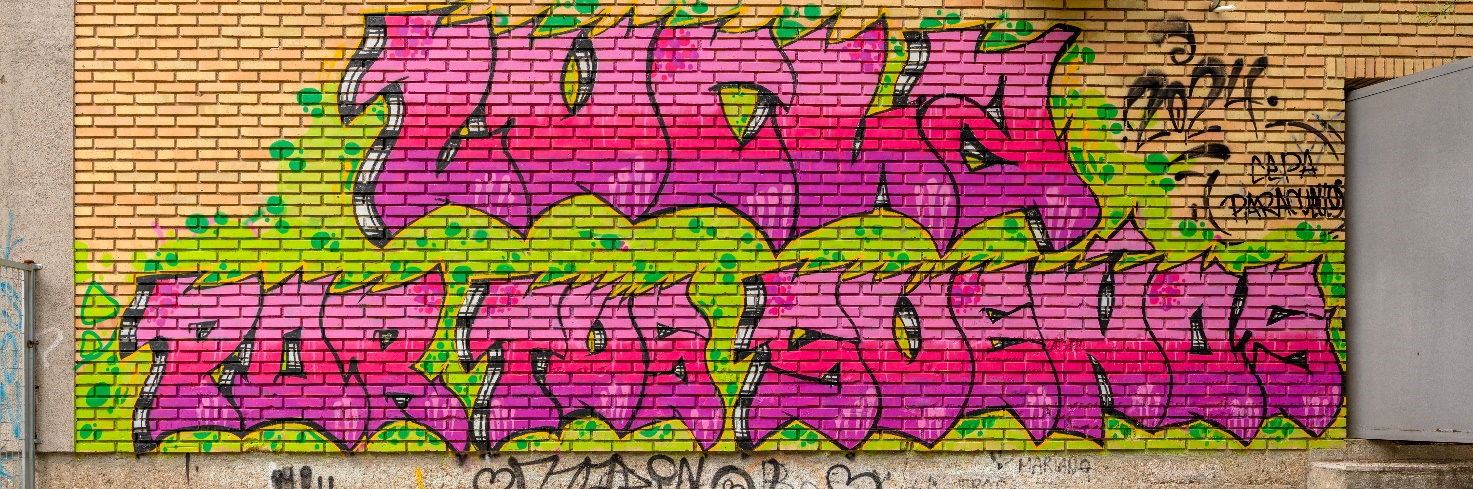 lucha ¡BIENVENIDOS AL CEPA PARACUELLOS!